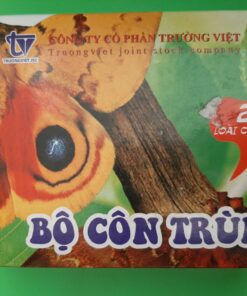 Bộ côn trùng 20 loài