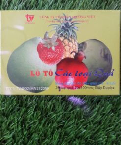 Lô tô các loại quả cho bé