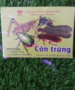 Lô-Tô côn trùng