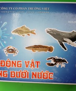 Bộ động vật sống dưới nước