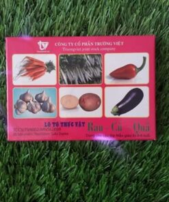 Lô-Tô thực vật