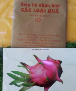 Tranh các loại quả