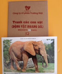 Tranh động vật hoang dã