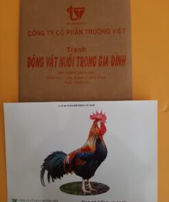 Tranh động vật nuôi trong gia đình