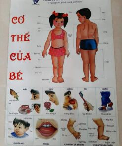 Tranh cơ thể của bé