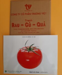 Tranh Rau-Củ-Quả