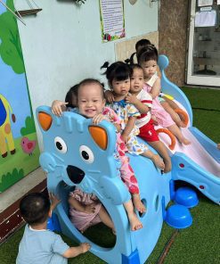 ham-chui-con-meo_ham-chui-cau-truot-nhua-an-toan-cho-truong-mam-non-ban-giam-hieu-chu-truong.