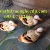 bầy vịt vườn cổ tích